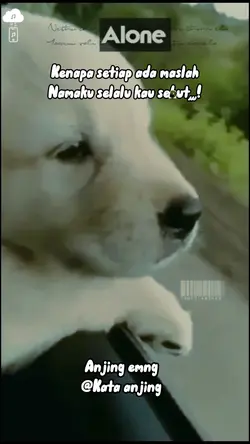 Emng anjing,