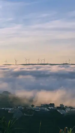 1 video nhẹ nhàng🍃