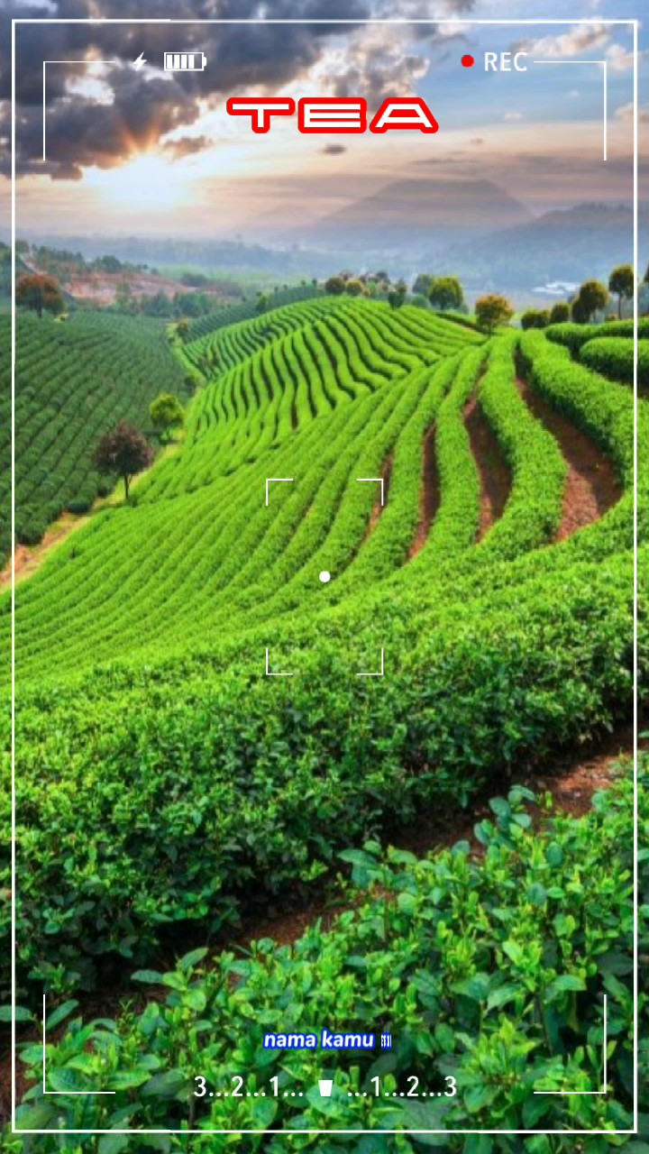 Té