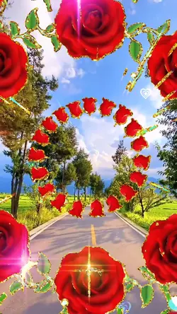 Viền hoa hồng đẹp