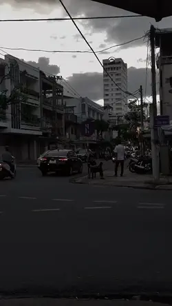 Hoa bằng lăng