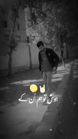 Attitude king 👑 🤬🔥✌🏻