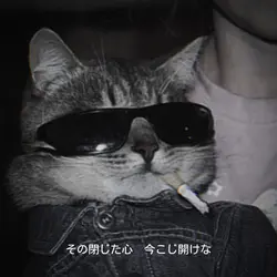 FUJII KAZE – MATSURI