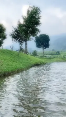 video aesthetic