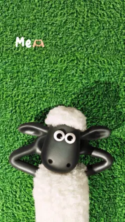 เปลี่ยนข้อความได้