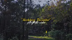 Neckdeep December