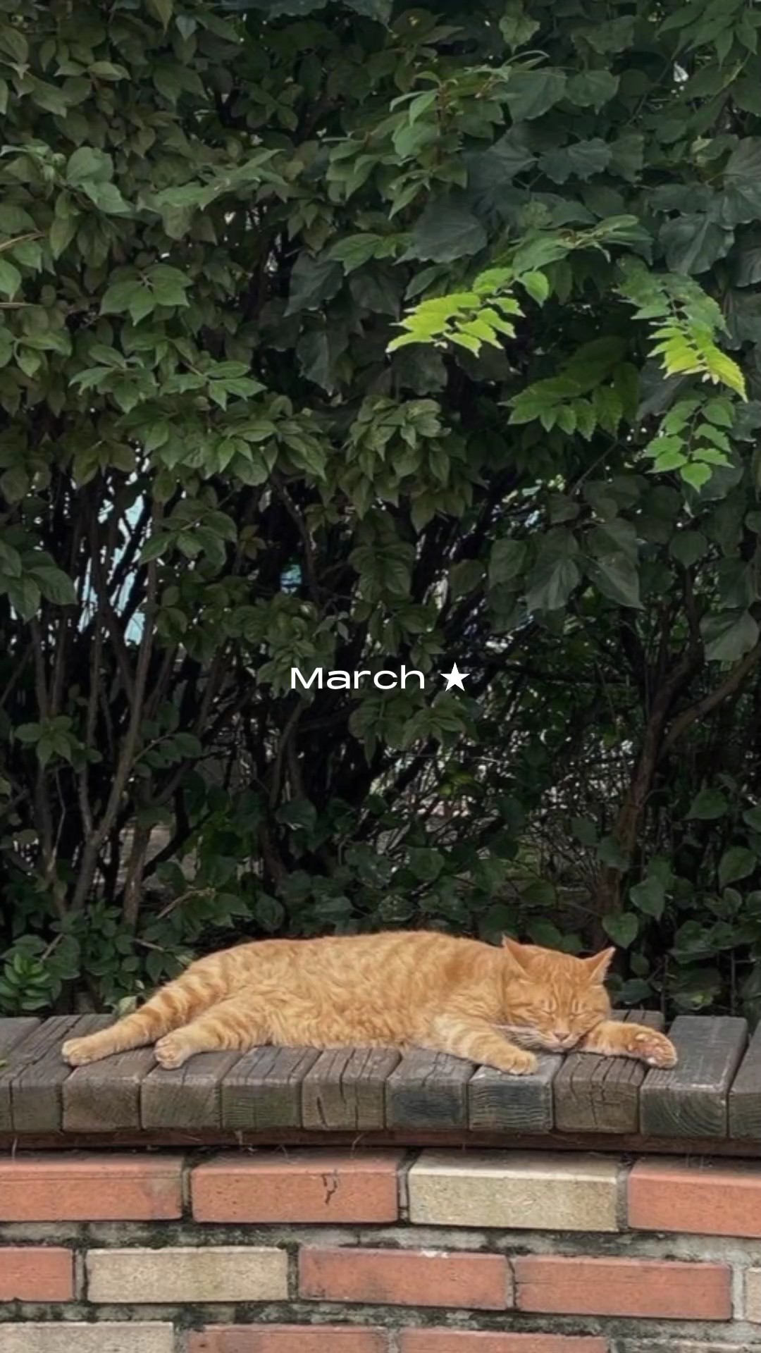 30 pic | march dump