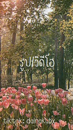 1รูปง้าบบ