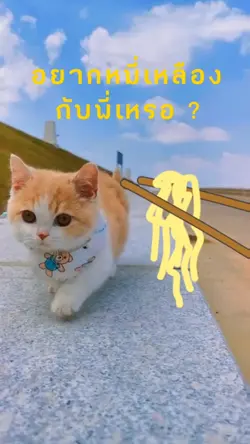 อยากมีเรื่องเหรอ