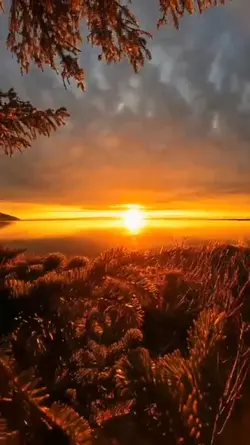 TRANSISI VIDEO KEREN