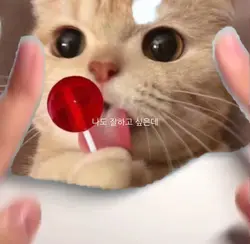 잘하는게 없어 ❌