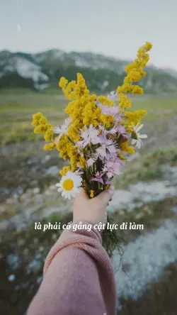 cuộc sống của tôi