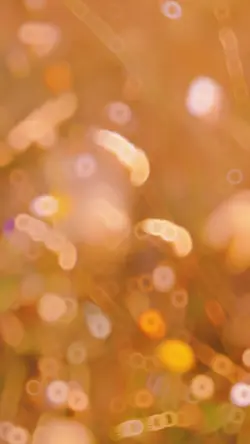 เรื่องเล่า