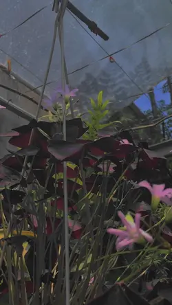 Cinematic filter 🔥