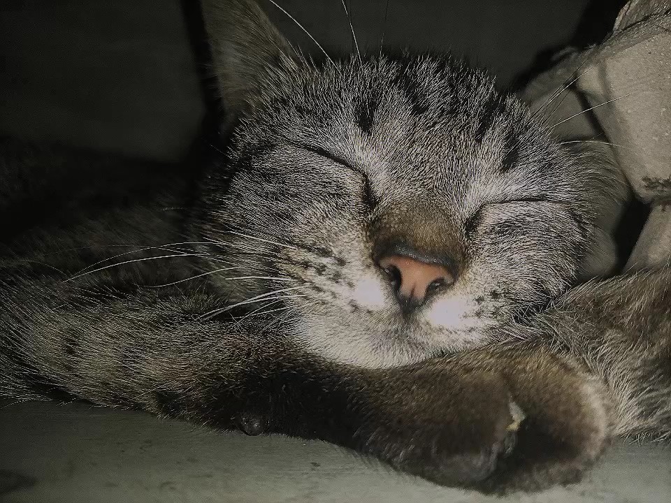 Bebé <3