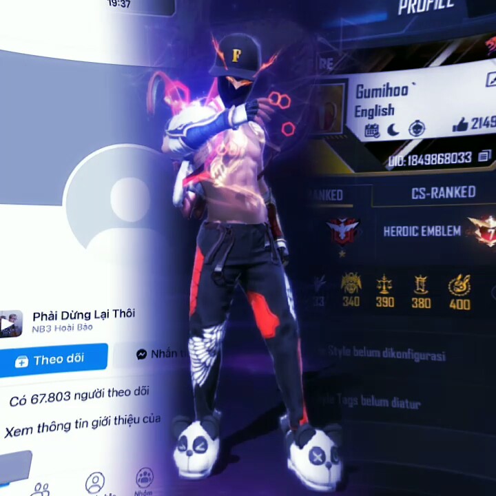 Cover Picture