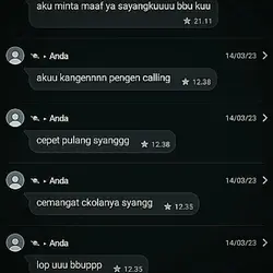 ss chat wa/Ig 