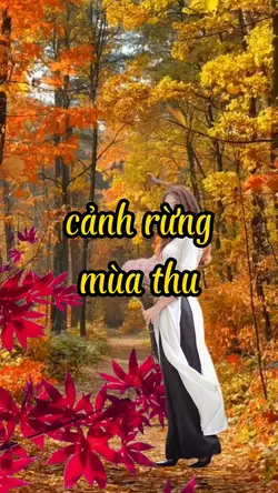 Cảnh rừng đẹp 514