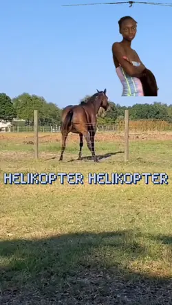 HelikopterHelikopter