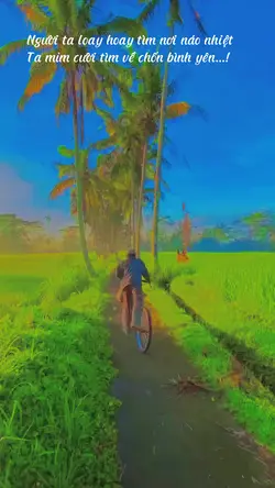 DAILY NHẸ NHÀNG