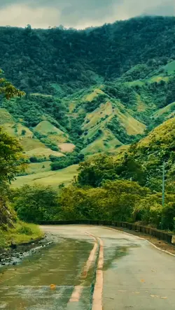 travel