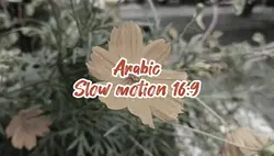 Arabic Slow 16:9
