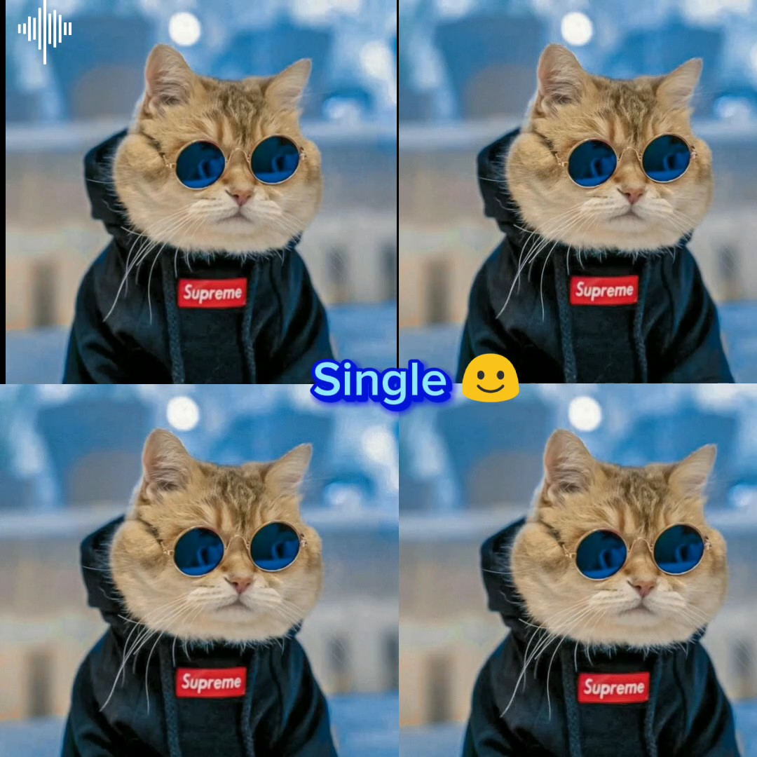 បំណងប៉ងប្រាថ្នា