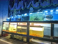 pecinta channa