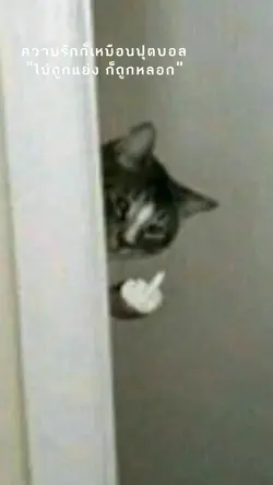 คําคม14พ.ค.