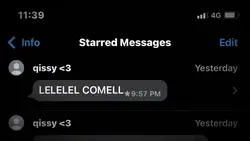 ss chat 