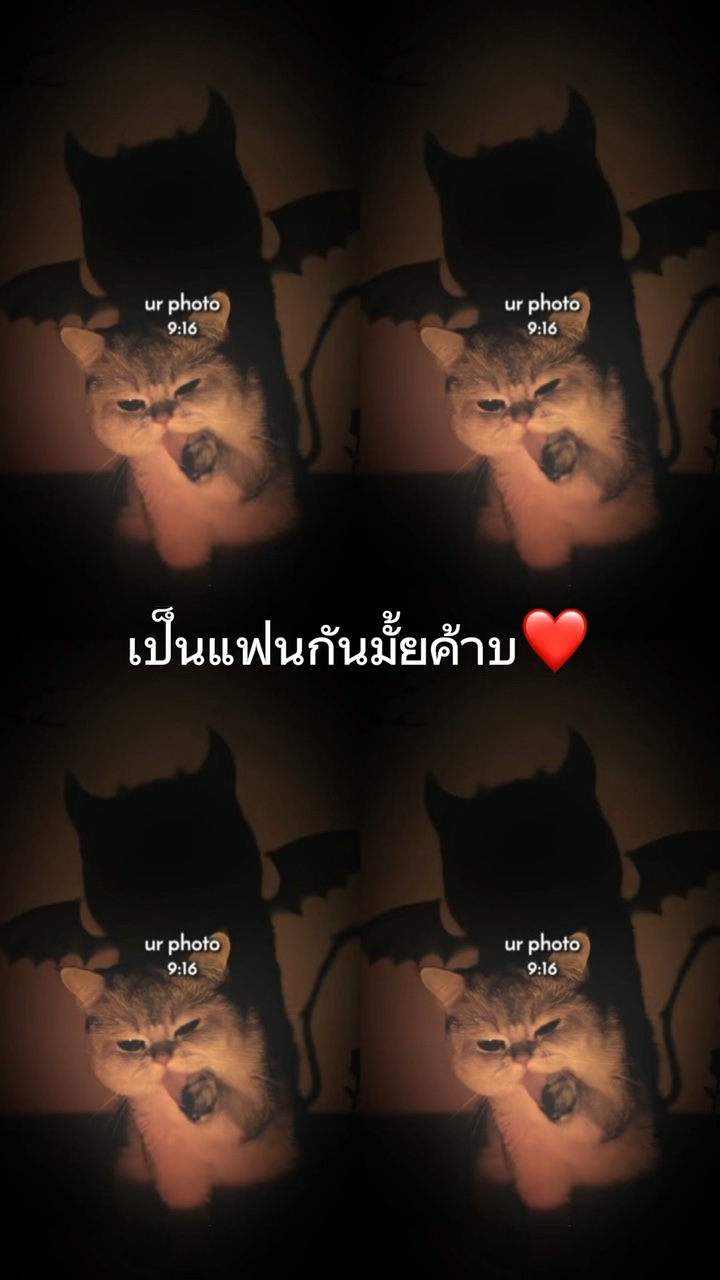 มีแฟนมาแล้วกี่คน