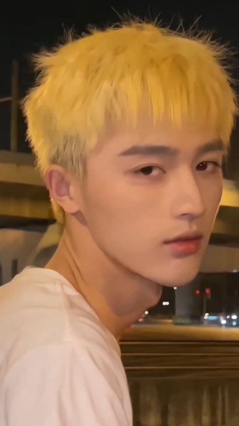 2 video + 1 ảnh 