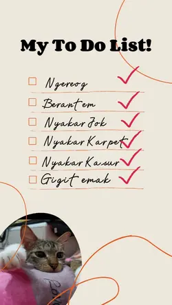 To Do List