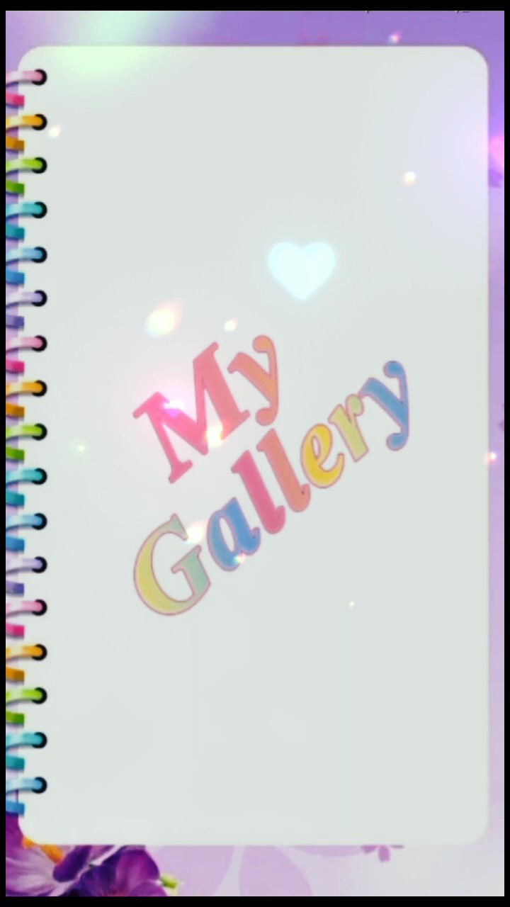 ma galerie 