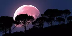 strawberry moon: