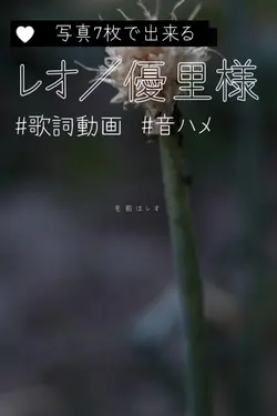 レオ|優里様 #歌詞動画 #音ハメ