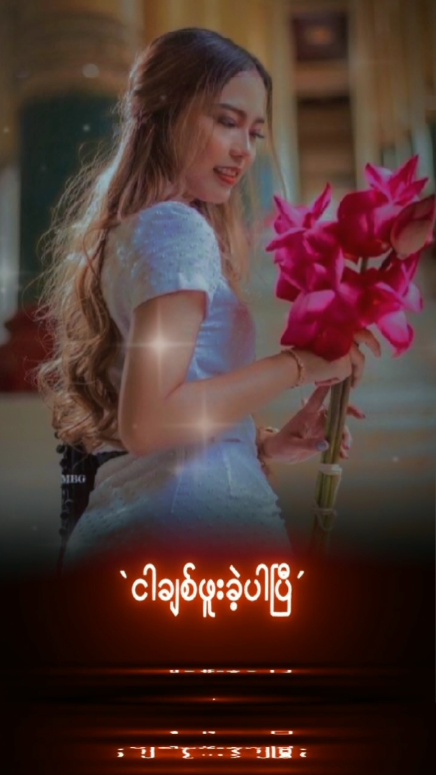 ငါချစ်ဖူးခဲ့ပါပြီ