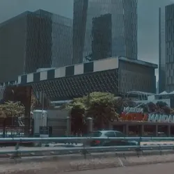 ver panjang
