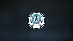 Logo video 