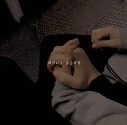 아름다운 붉은 백합 