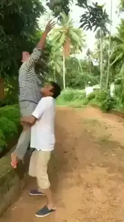 perkara mangga