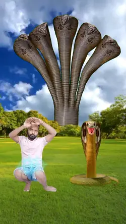 person change  snake