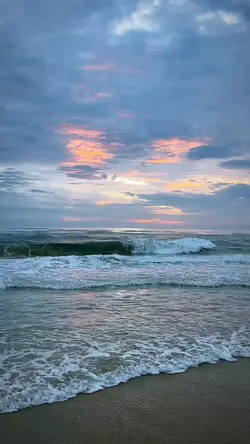 mentahan.video