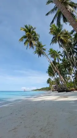 Beachvibes