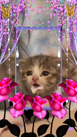 Gõ cửa trái timm😍🖕🏻