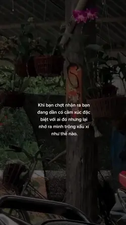 tự ti ngoại hình