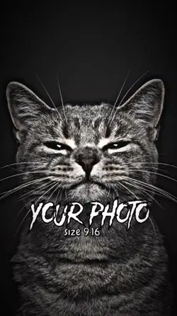 photo mo AM