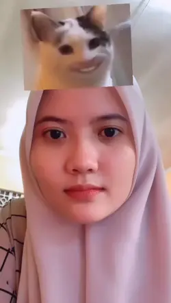 #FilterMemeCat