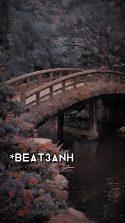 BEAT3ẢNH