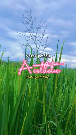 AESTHETIC FILTER